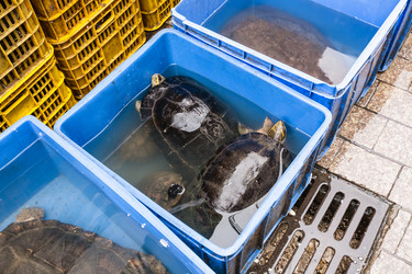 Similar image 13170440