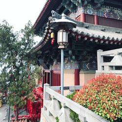 Similar image 13170448