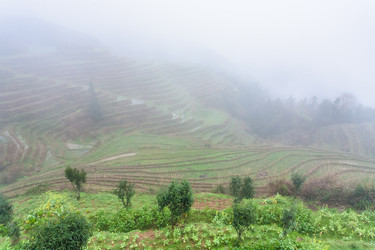 Similar image 13170567