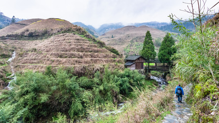 Similar image 13170568