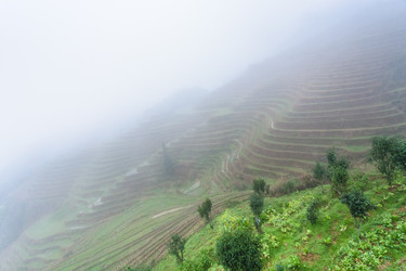 Similar image 13170569