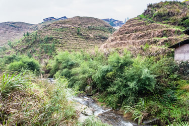 Similar image 13170570