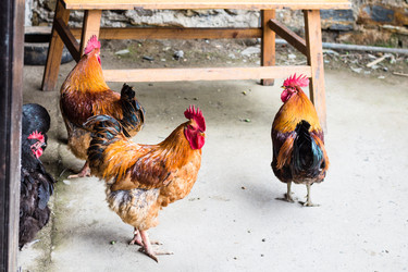 Similar image 13160709