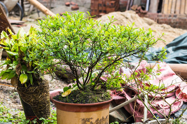 Similar image 13160956