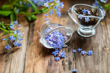 Similar image 13180379