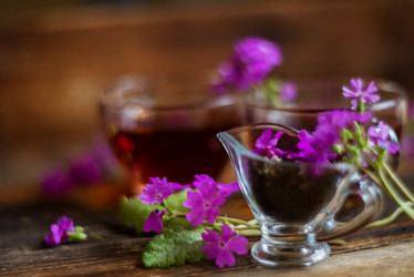 Similar image 13180417