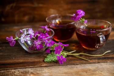 Similar image 13180432