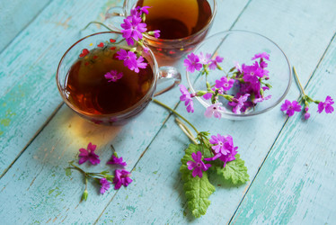 Similar image 13180491