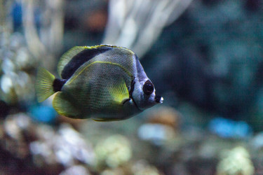 Similar image 13154201