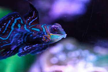 Similar image 13163144