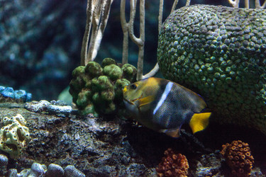 Similar image 13170220