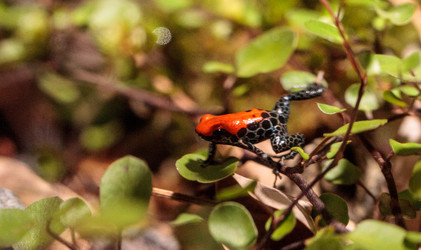 Similar image 13170280