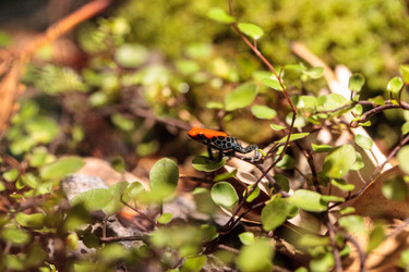 Similar image 13170285