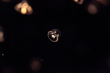 Similar image 13170286