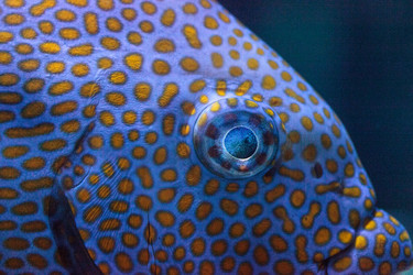 Similar image 13170305