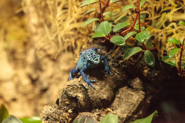 Similar image 13154186