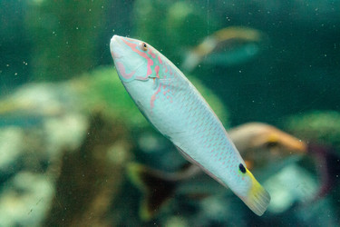 Similar image 13154224