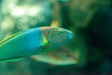 Similar image 13154225