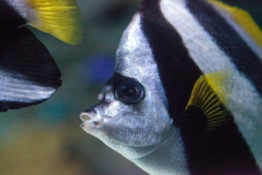 Similar image 13154239