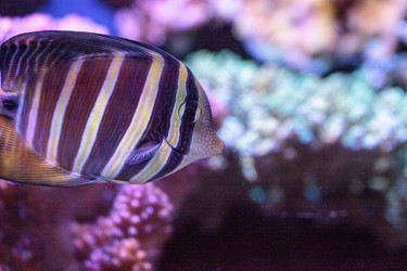 Similar image 13154256