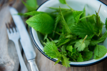 Similar image 13180174