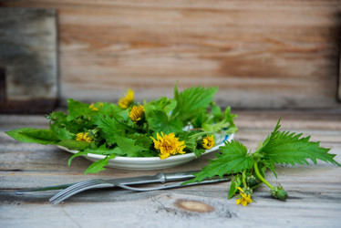 Similar image 13180195