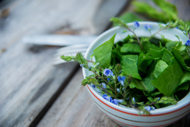 Similar image 13180198