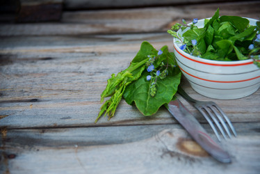 Similar image 13180215