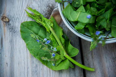 Similar image 13180218