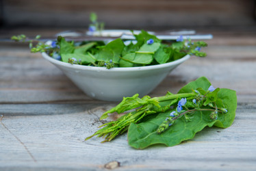 Similar image 13180219