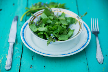 Similar image 13180241