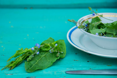 Similar image 13180242