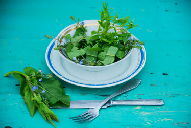 Similar image 13180261