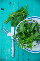 Similar image 13180280