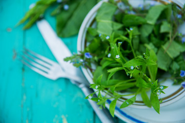 Similar image 13180281