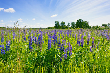 Similar image 13188974