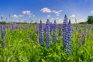 Similar image 13188975