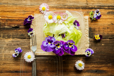 Similar image 13180439