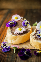 Similar image 13180494