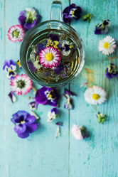 Similar image 13180579