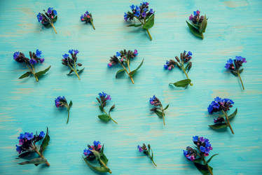 Similar image 13179836