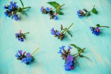 Similar image 13179854