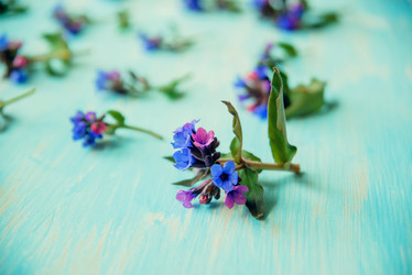 Similar image 13179855