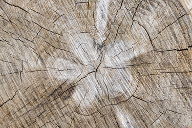 Similar image 13150723