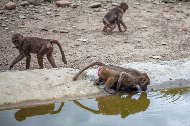 Similar image 13149197