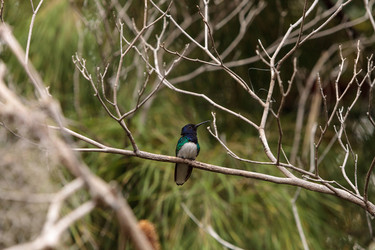 Similar image 13163146