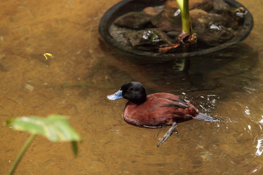 Similar image 13163150