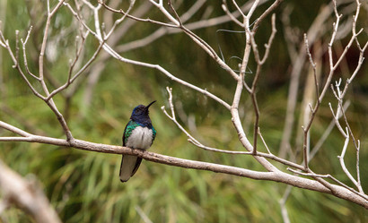 Similar image 13170224