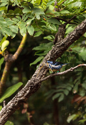 Similar image 13154205