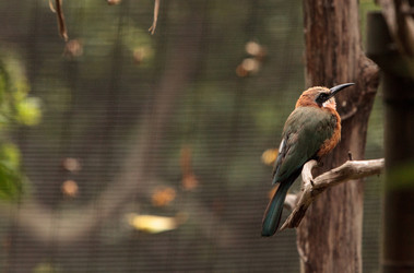 Similar image 13154206